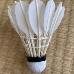 バトミントン　シャトル　羽　　の画像