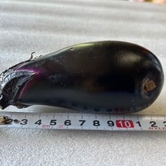 当日朝採り　訳ありナス　5個100円の画像
