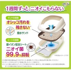 猫　システムトイレの画像