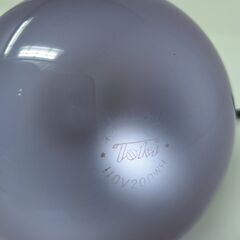 東輝 ネオジムランプ 2個セット／自然光 白熱電球／未使用・希少品の画像