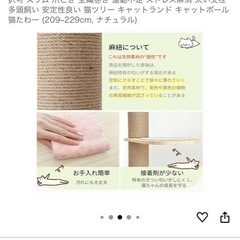 キャットタワーの画像