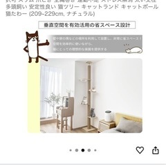 キャットタワーの画像