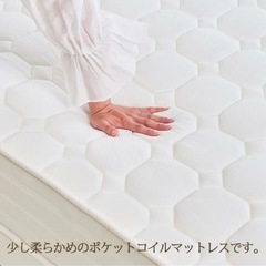 【8/10まで】大容量収納付きベットの画像