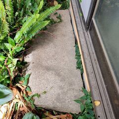 上がり石台（アジがあります😊風流です🎐）の画像