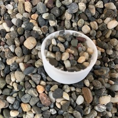 【取引中】石　砂利の画像