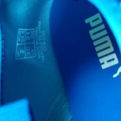 近日処分予定☆PUMA マリンシューズ
サイズ21.0cm
の画像