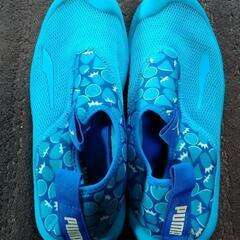 近日処分予定☆PUMA マリンシューズ
サイズ21.0cm
の画像
