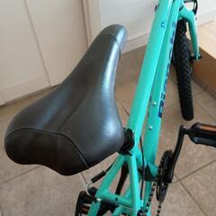(子供自転車)Bianchi/ビアンキ　Pirata 20インチの画像