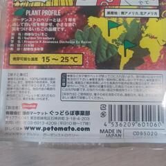 ガーデンストロベリーの画像