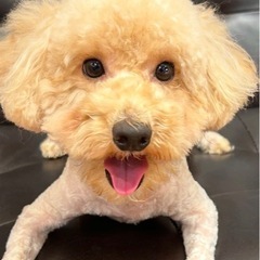 絶対に大事にしてくれる方でお願いします！！！