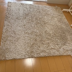 カーペット、ラグの画像