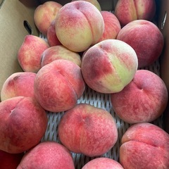 朝採り　桃　ご家庭用　6kg 笛吹市産の画像