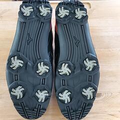 Mizuno ゴルフシューズの画像