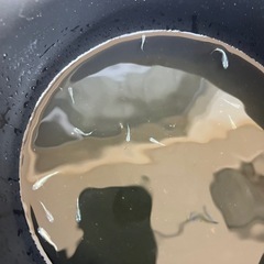 メダカ　鉄仮面フルボディの画像