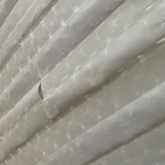 【無料】マットレスのみをお譲りします！！の画像