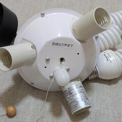 球型ペンダントライト Panasonic HED3033KCEP-RSNの画像