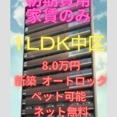 ⭐初期費用家賃のみ⭐ペット飼育可能で駅までのアクセスも便利でいい...