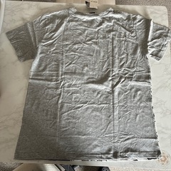 チップ&デールTシャツの画像