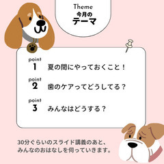 無料！『老犬のためのおはなし会』オンライン開催♪の画像