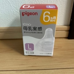 Pigeon  Lサイズ2つ入り