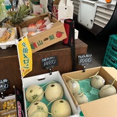 宮崎県産の高級マンゴー入荷しました✨の画像