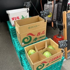 宮崎県産の高級マンゴー入荷しました✨の画像