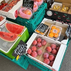 宮崎県産の高級マンゴー入荷しました✨の画像