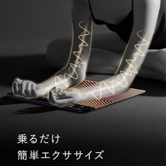 EMSシートプラス　　手軽にエクササイズの画像