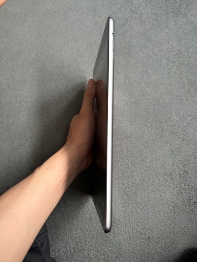 iPad本体 NeKo Apple 10.9