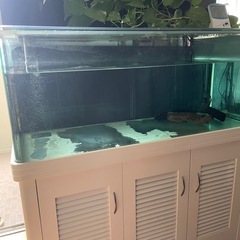【決まりました】【曲面ガラス】水槽＋水槽台の画像
