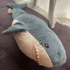 ぬいぐるみの画像