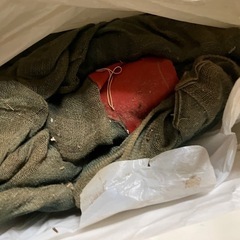 蚊帳の画像