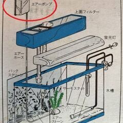 ■ 格安 観賞魚水槽用エア－ポンプ&エア－スト－ン1個付　中古の画像