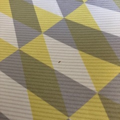 【7/31まで】座椅子の画像