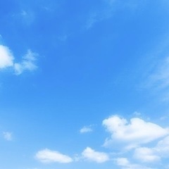 仲良くできる方 募集