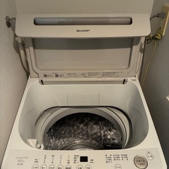 SHARPの縦型洗濯機 8.0kg 2024年度製の画像