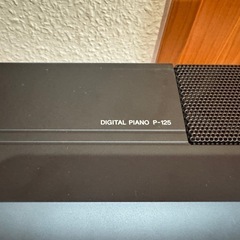 YAMAHA P-125の画像