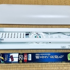 照明の画像