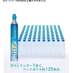 【未使用】ソーダストリーム ガスシリンダー 60L用×2本セットの画像