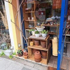 植木鉢セール【10円SALE】無くなり次第終了～の画像