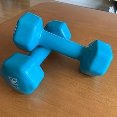 3kg鉄アレイ　2個セットの画像