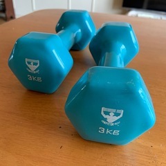 3kg鉄アレイ　2個セット