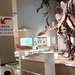 サマースクール2025〜英語でたっぷり遊んで学ぶ5日間〜の画像