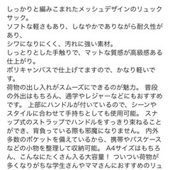 WENJIE リュック
の画像