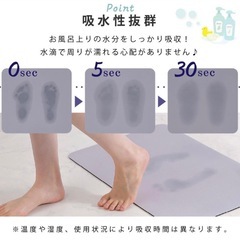 珪藻土マット　2枚の画像