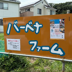 農園作業のボランティアさんを募集しています！