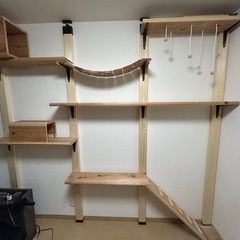 キャットウォーク作成