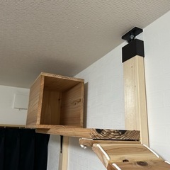 キャットウォーク作成の画像