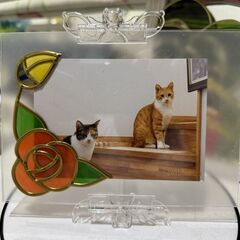 初めてさんのフィルムステンドお試しの画像
