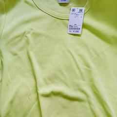 ＣＯＥＮ新品Ｔシャツの画像